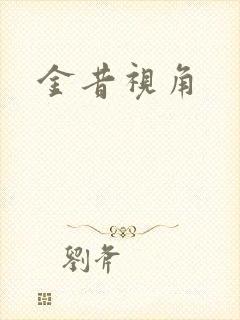 金昔视角封面
