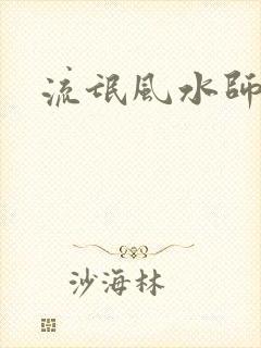 流氓风水师封面