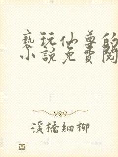 亵玩仙尊的道侣小说免费阅读