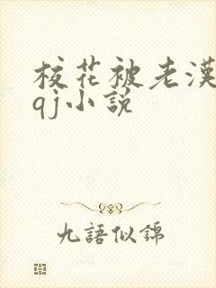 校花被老汉狂肉qj小说封面