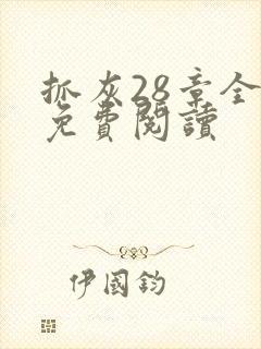 抓灰28章全部免费阅读