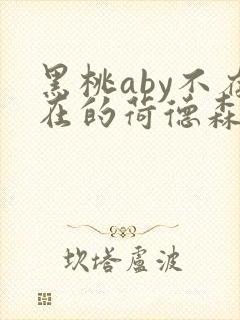 黑桃aby不存在的荷德森笔趣阁