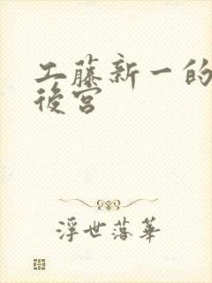 工藤新一的日本后宫封面