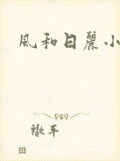 风和日丽小说