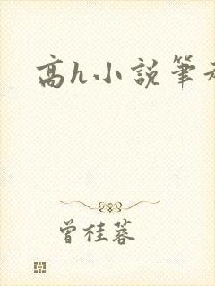 高h小说笔趣阁封面