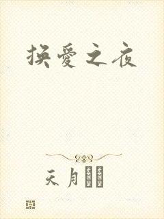 换爱之夜