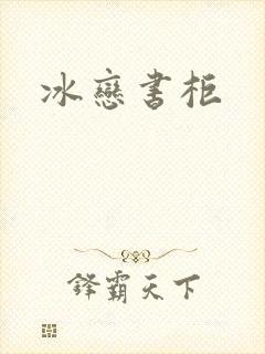 冰恋书柜封面