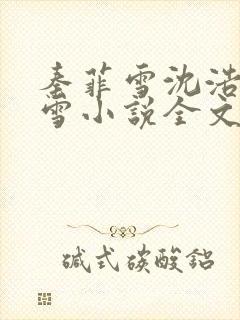秦菲雪沈浩秦菲雪小说全文免费阅读求书