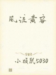 风流黄容封面