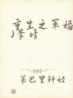 重生之军婚(h)李晴
