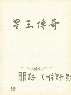 星王传奇