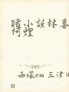 赌小说林喜朝和柯煜封面