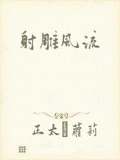 射雕风流