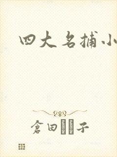 四大名捕小说