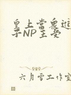 皇上当众进入太子NP主受