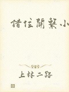 错位关系小说封面