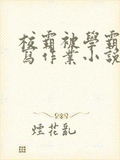 校霸被学霸压着写作业小说封面