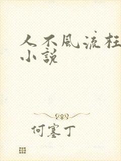 人不风流枉少年小说