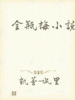 金瓶梅小说封面