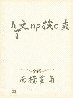 h文np挨c爽了封面