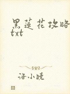 黑莲花攻略手册txt