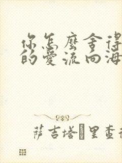 你怎么舍得让我的爱流向海