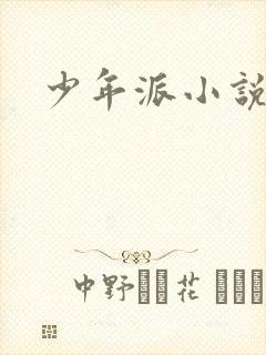 少年派小说