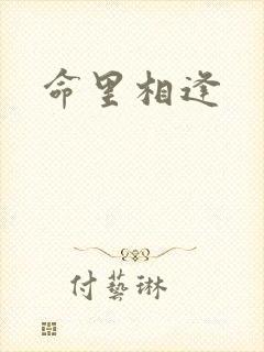 命里相逢封面