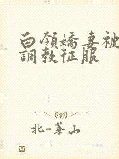 白领娇妻被老板调教征服