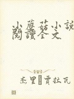 小蘑菇小说免费阅读全文