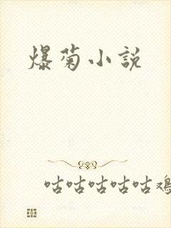 爆菊小说