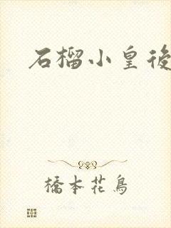 石榴小皇后封面