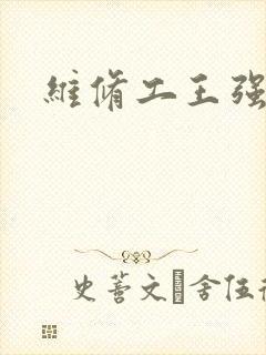 维修工王强张婷封面