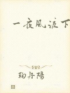 一夜风流下载