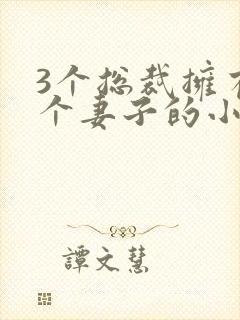 3个总裁拥有一个妻子的小说封面