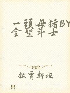 一头母猪BY黄金圣斗士