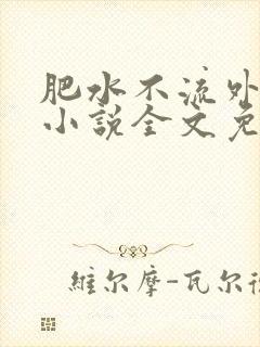 肥水不流外人田小说全文免费阅读全本免