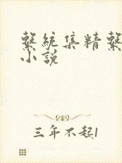 系统集精系统 小说