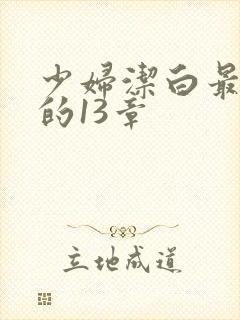 少妇洁白最刺激的13章