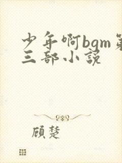 少年啊bgm第三部小说