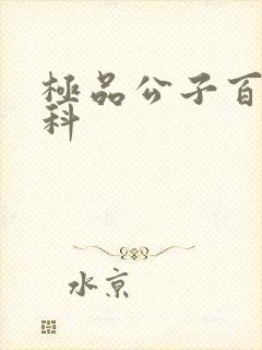 极品公子百度百科