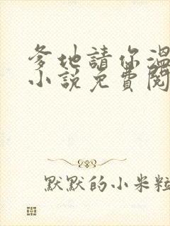 爹地请你温柔点小说免费阅读