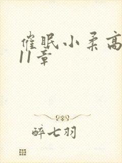 催眠小柔高达第11章