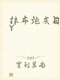 抹布炮灰日记BY封面