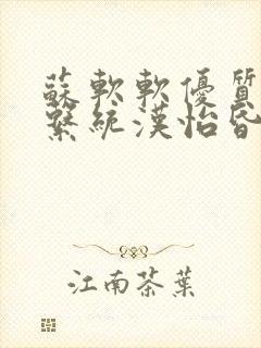 苏软软优质灌溉系统汉怡昏