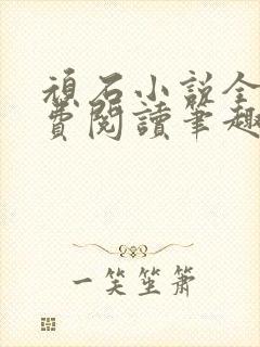 顽石小说全文免费阅读笔趣阁