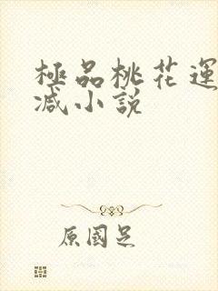 极品桃花运未删减小说