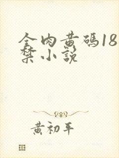 全肉黄码18无禁小说封面