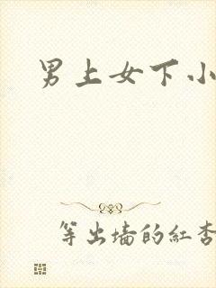 男上女下小说