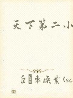 天下第二小说